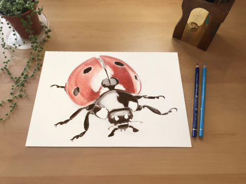 The Ladybird Print